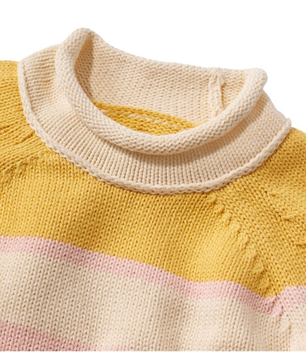 Women's Signature Original Cotton Sweater, Rollneck Stripe